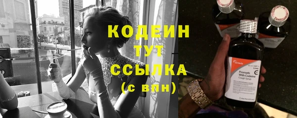 ПСИЛОЦИБИНОВЫЕ ГРИБЫ Вязники