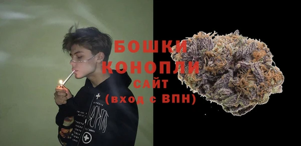 ПСИЛОЦИБИНОВЫЕ ГРИБЫ Вязники