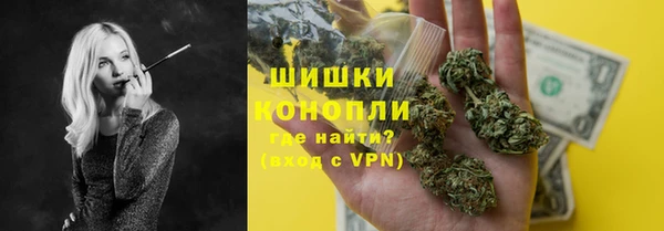 ПСИЛОЦИБИНОВЫЕ ГРИБЫ Вязники