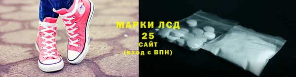 ПСИЛОЦИБИНОВЫЕ ГРИБЫ Вязники