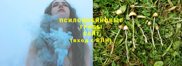 марки nbome Вяземский