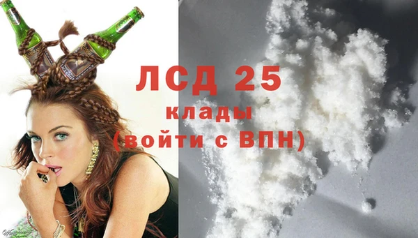ПСИЛОЦИБИНОВЫЕ ГРИБЫ Вязники